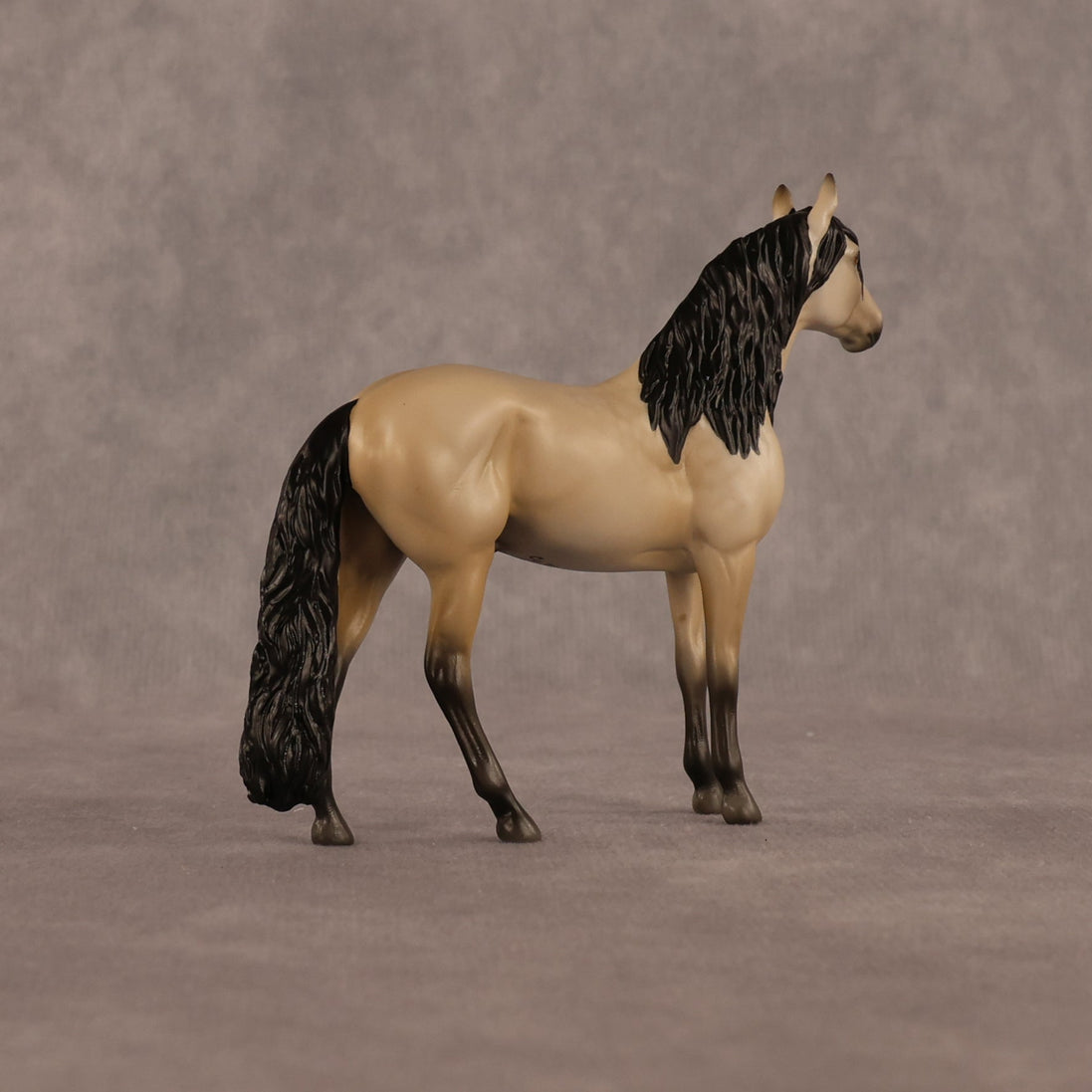 Jack OOAK Chip Andalusian by Madi Wiseman LHS26