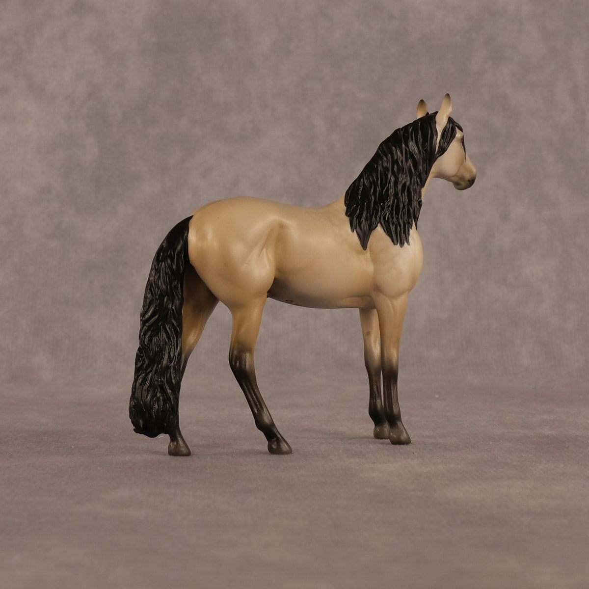 Jack OOAK Chip Andalusian by Madi Wiseman LHS26