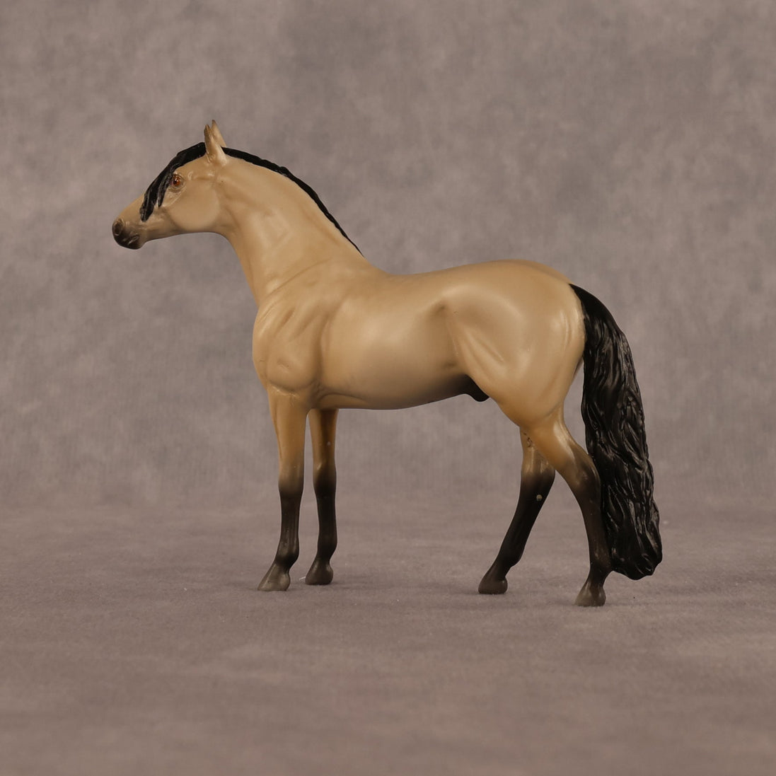 Jack OOAK Chip Andalusian by Madi Wiseman LHS26