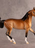 Jackie Starling OOAK FCM Arabian Mare by Ellen Robbins EQ26