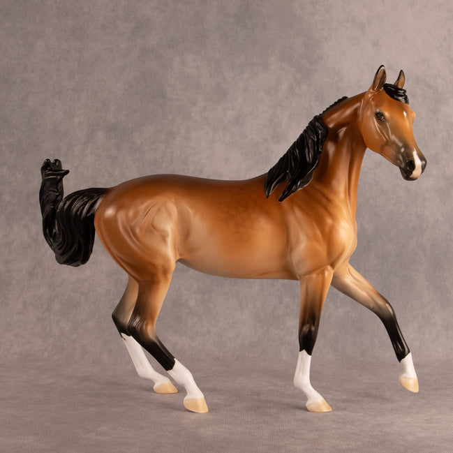 Jackie Starling OOAK FCM Arabian Mare by Ellen Robbins EQ26