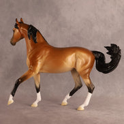 Jackie Starling OOAK FCM Arabian Mare by Ellen Robbins EQ26