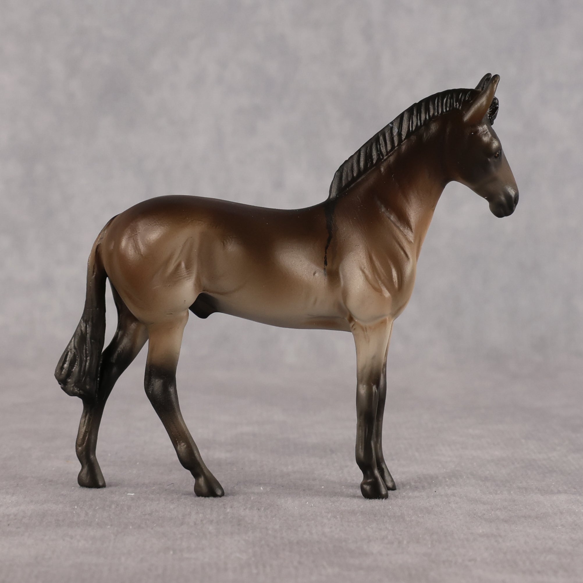 Jack of All Trades OOAK EFCM Chip Andalusian by Carly Kudalis Best