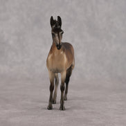 Jack of All Trades OOAK EFCM Chip Andalusian by Carly Kudalis Best Offer 10.6.2026