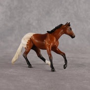 Jacquotte OOAK Chip Cutting Horse by Madi Wiseman EQ26