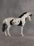 Jameson OOAK FCM Andalusian by Dawn Quick SHCF26