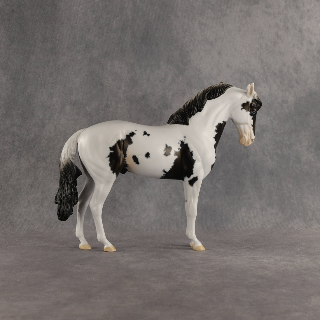 Jameson OOAK FCM Andalusian by Dawn Quick SHCF26