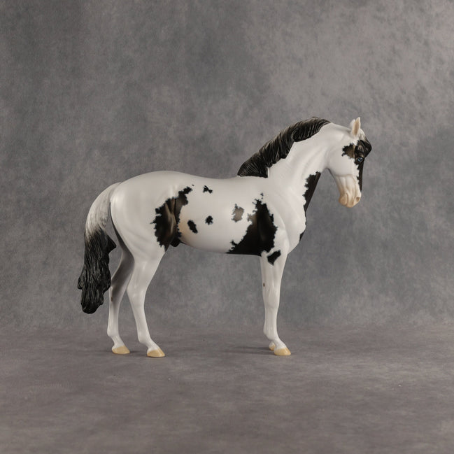 Jameson OOAK FCM Andalusian by Dawn Quick SHCF26