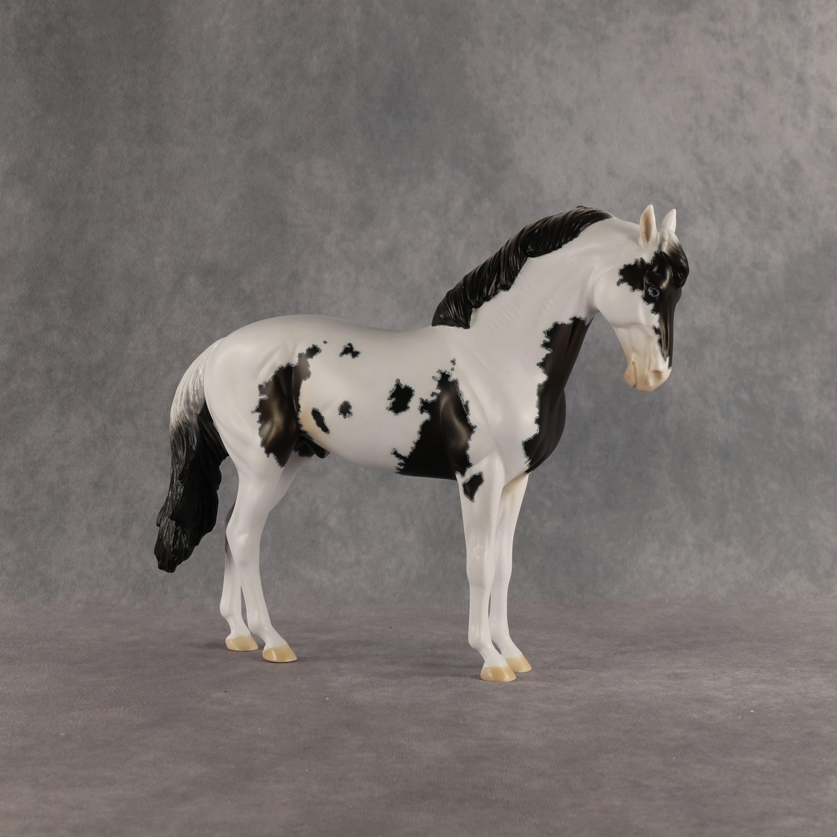 Jameson OOAK FCM Andalusian by Dawn Quick SHCF26
