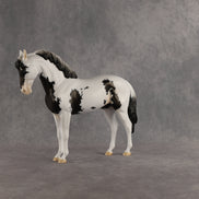 Jameson OOAK FCM Andalusian by Dawn Quick SHCF26