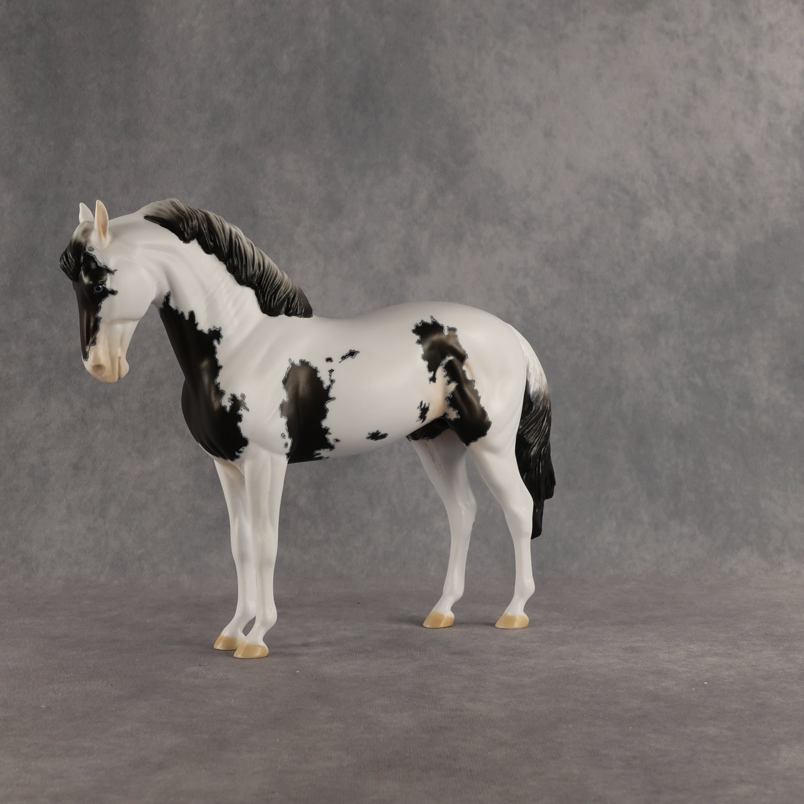 Jameson OOAK FCM Andalusian by Dawn Quick SHCF26