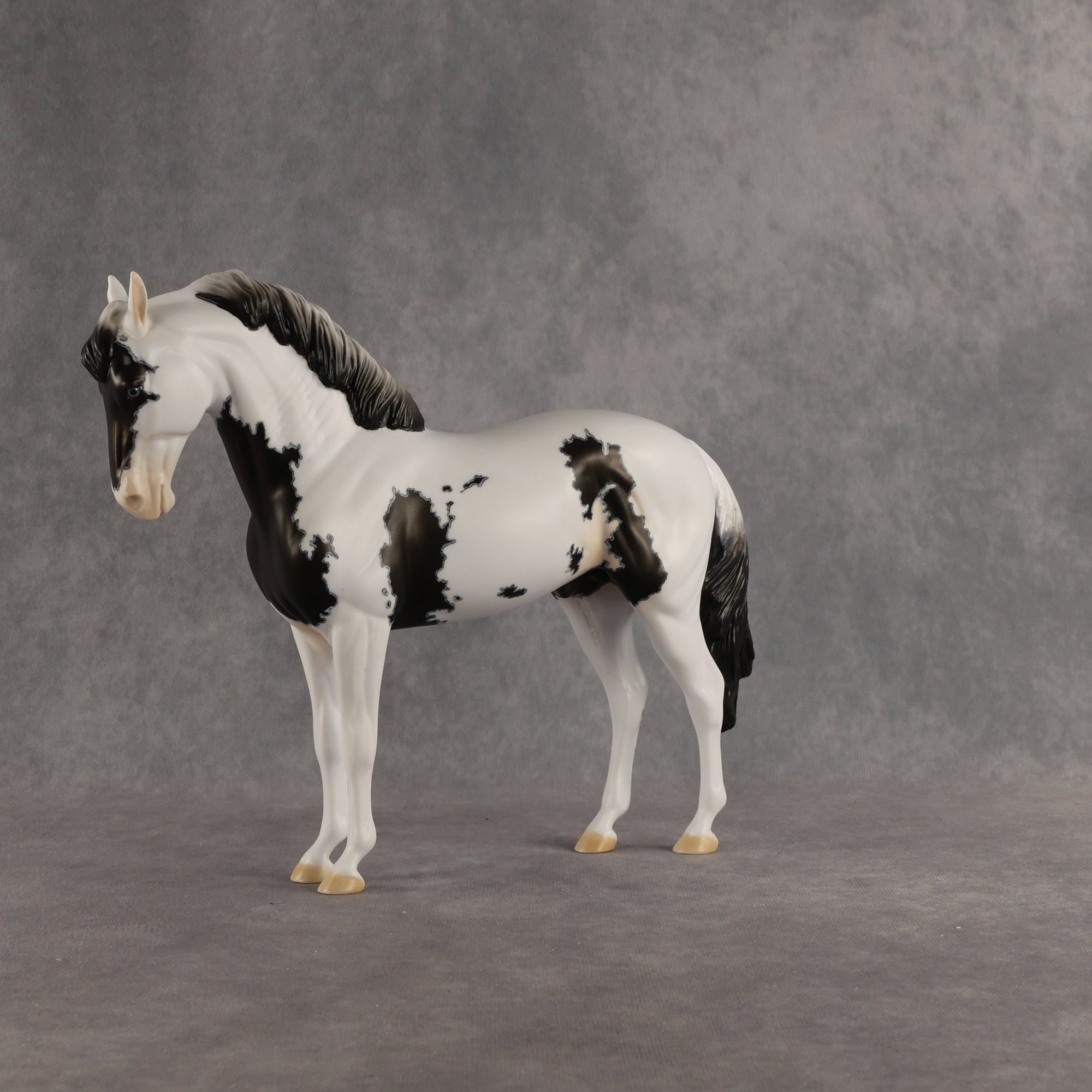 Jameson OOAK FCM Andalusian by Dawn Quick SHCF26