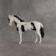 Jameson OOAK FCM Andalusian by Dawn Quick SHCF26