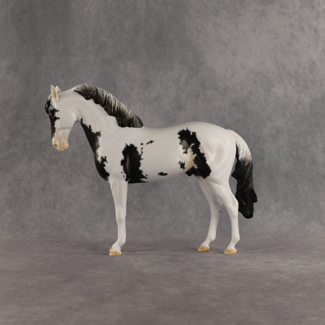 Jameson OOAK FCM Andalusian by Dawn Quick SHCF26