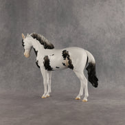 Jameson OOAK FCM Andalusian by Dawn Quick SHCF26