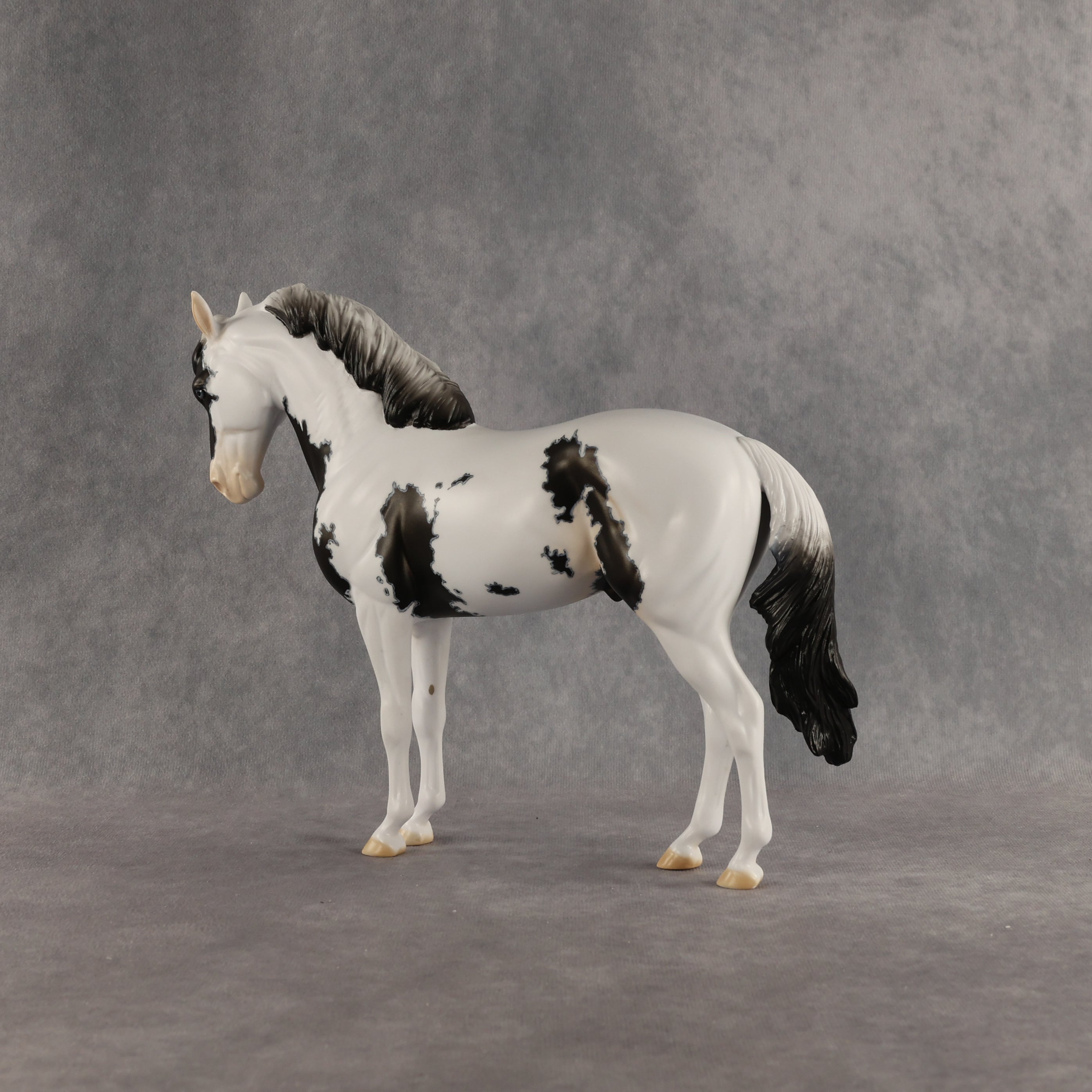 Jameson OOAK FCM Andalusian by Dawn Quick SHCF26