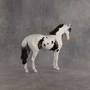 Jameson OOAK FCM Andalusian by Dawn Quick SHCF26