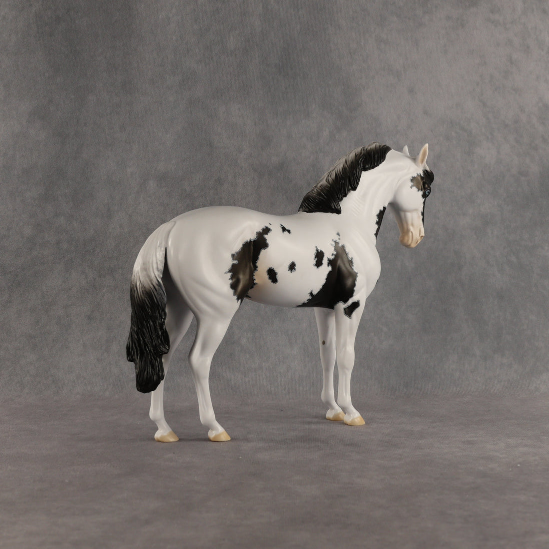 Jameson OOAK FCM Andalusian by Dawn Quick SHCF26