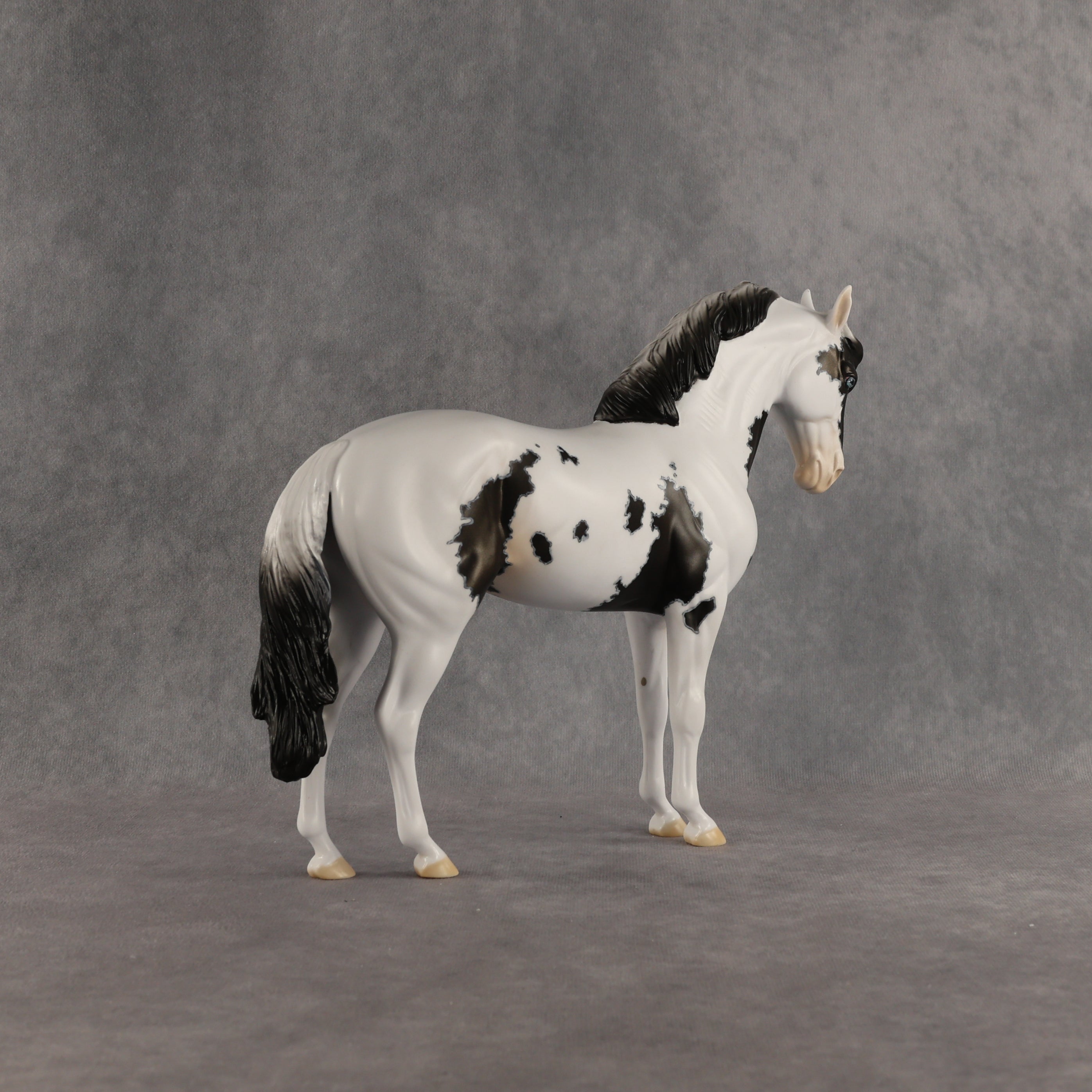Jameson OOAK FCM Andalusian by Dawn Quick SHCF26