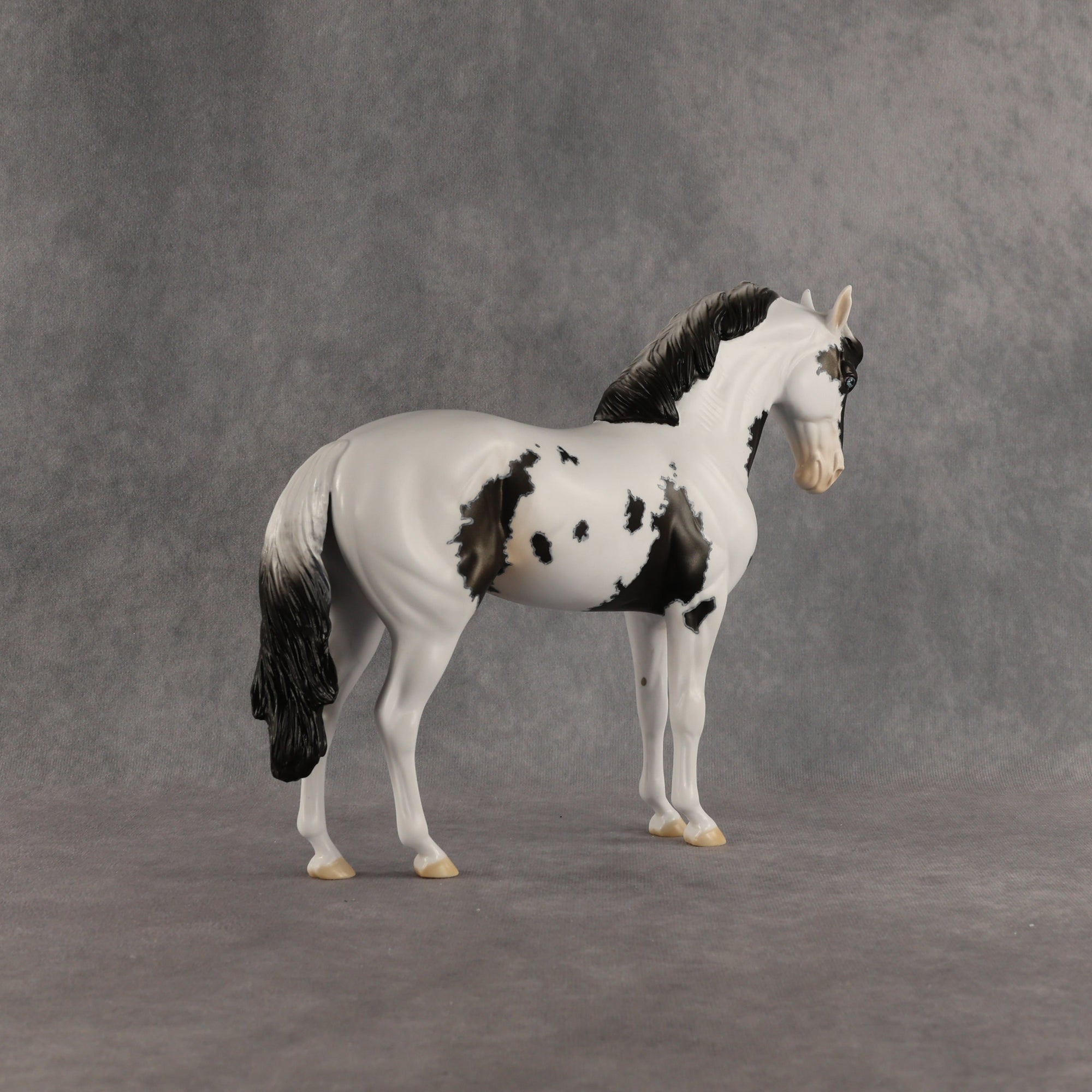 Jameson OOAK FCM Andalusian by Dawn Quick SHCF26