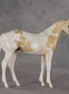 Jane OOAK Stock Horse Weanling by Jess Hamill VV26