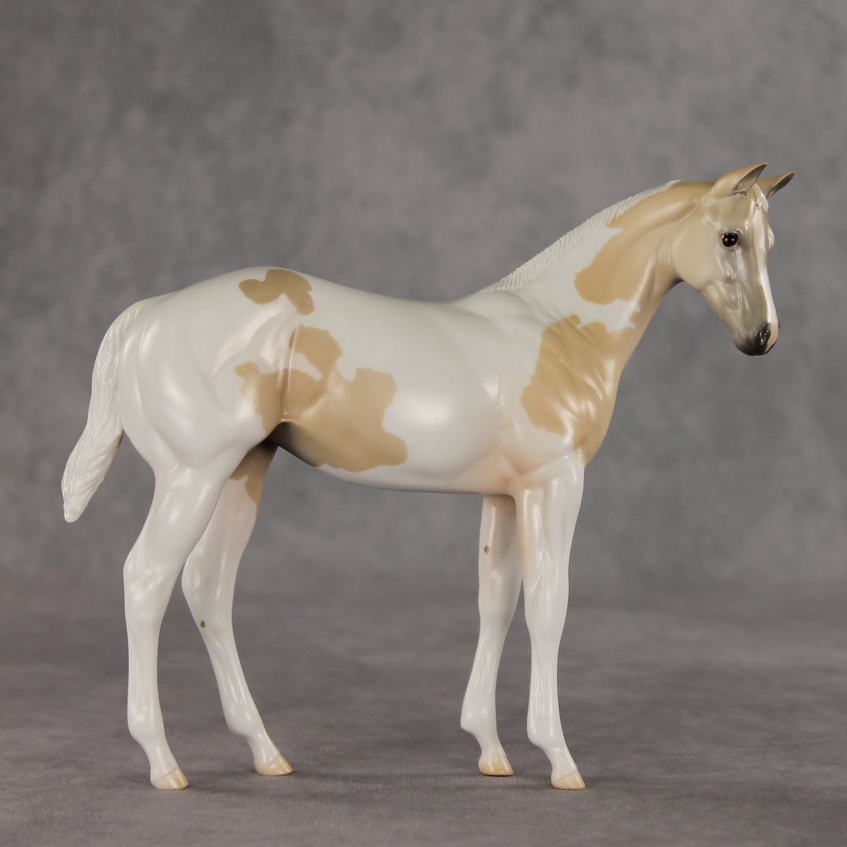 Jane OOAK Stock Horse Weanling by Jess Hamill VV26