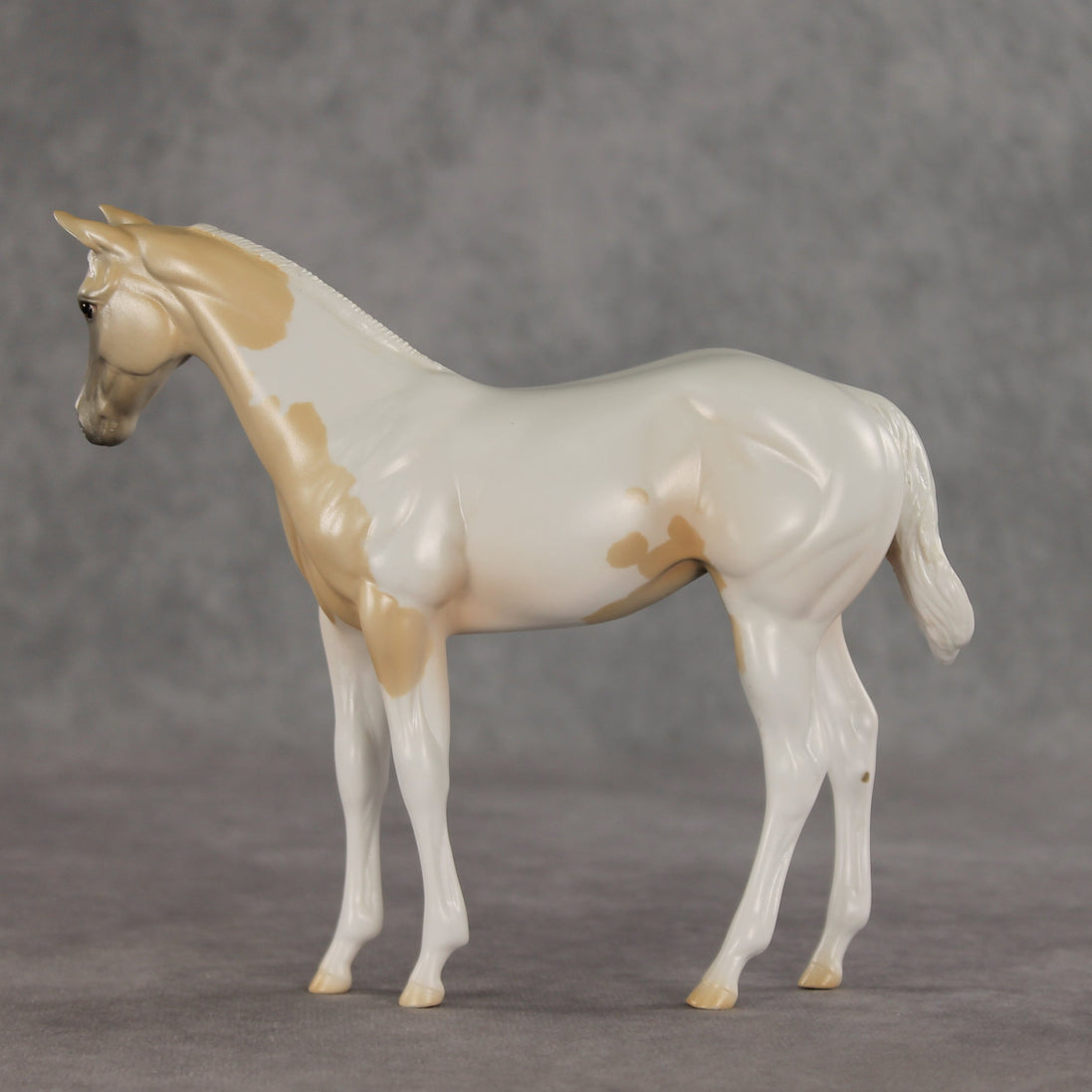 Jane OOAK Stock Horse Weanling by Jess Hamill VV26