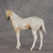 Jane OOAK Stock Horse Weanling by Jess Hamill VV26