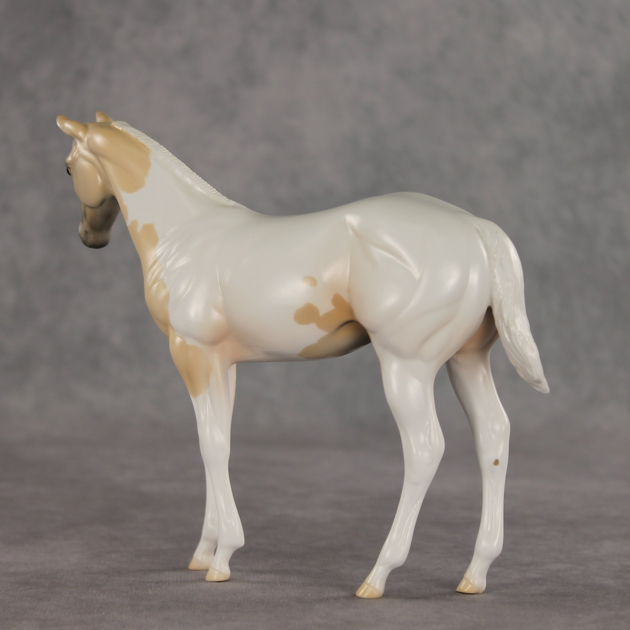 Jane OOAK Stock Horse Weanling by Jess Hamill VV26
