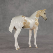 Jane OOAK Stock Horse Weanling by Jess Hamill VV26