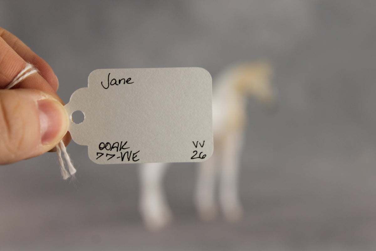 Jane OOAK Stock Horse Weanling by Jess Hamill VV26