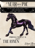 Glossy Darkness There LE-5 FCM Chip Friesian by Ellen Robbins YP26