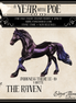 Matte Darkness There LE-5 FCM Chip Friesian by Ellen Robbins YP26