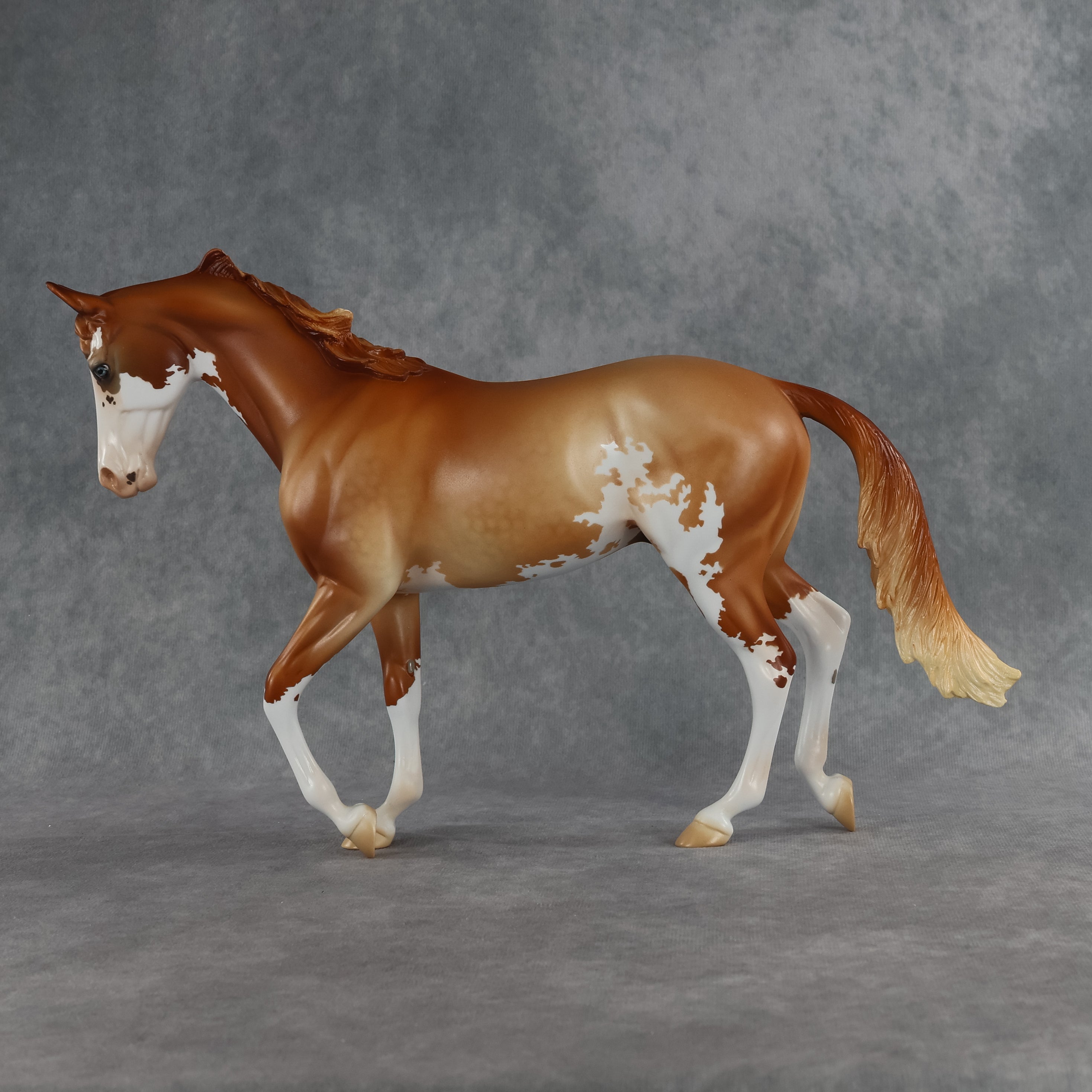 Jasper OOAK Thoroughbred by Jess Hamill SHCF26