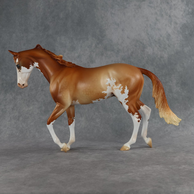 Jasper OOAK Thoroughbred by Jess Hamill SHCF26