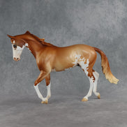 Jasper OOAK Thoroughbred by Jess Hamill SHCF26