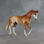Jasper OOAK Thoroughbred by Jess Hamill SHCF26
