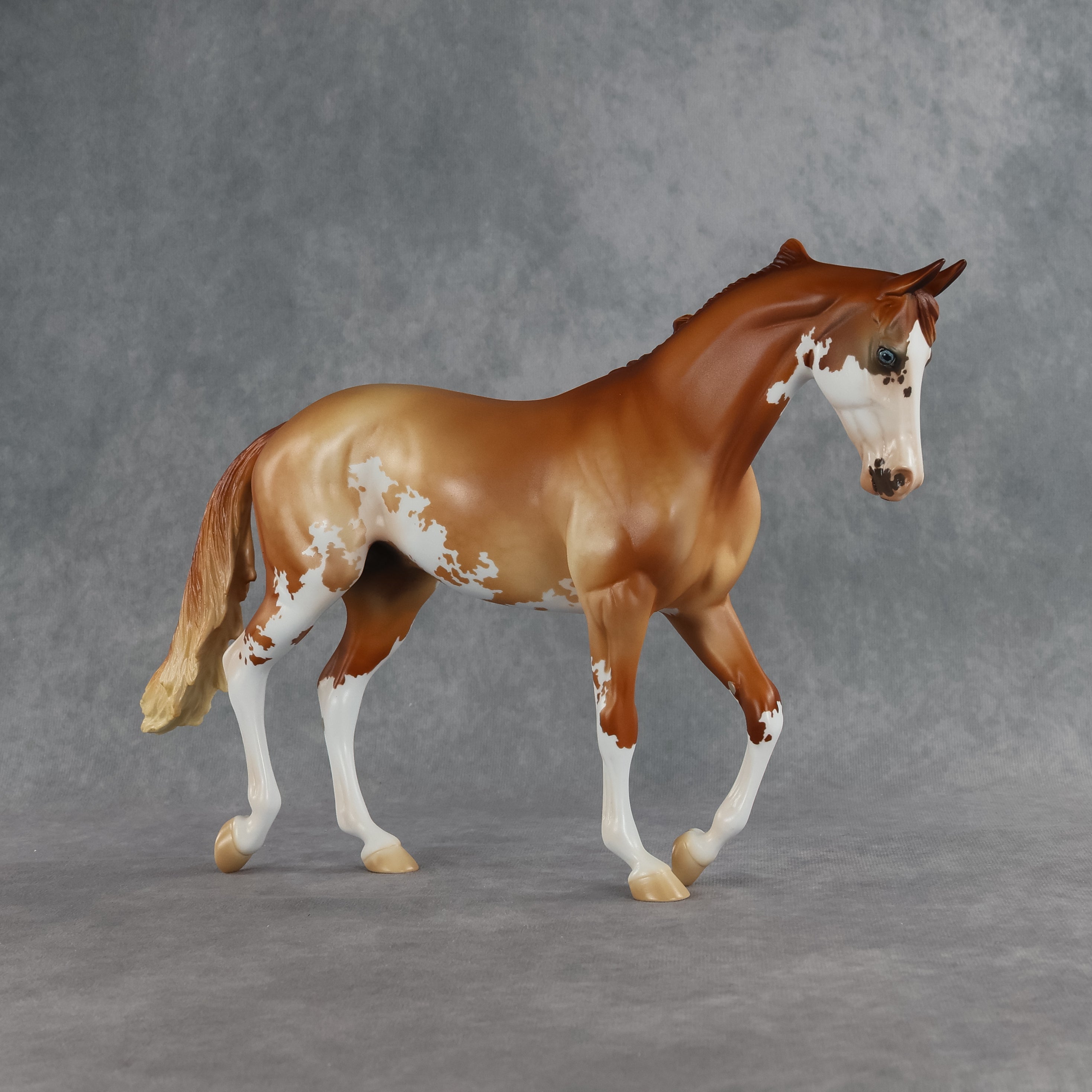 Jasper OOAK Thoroughbred by Jess Hamill SHCF26