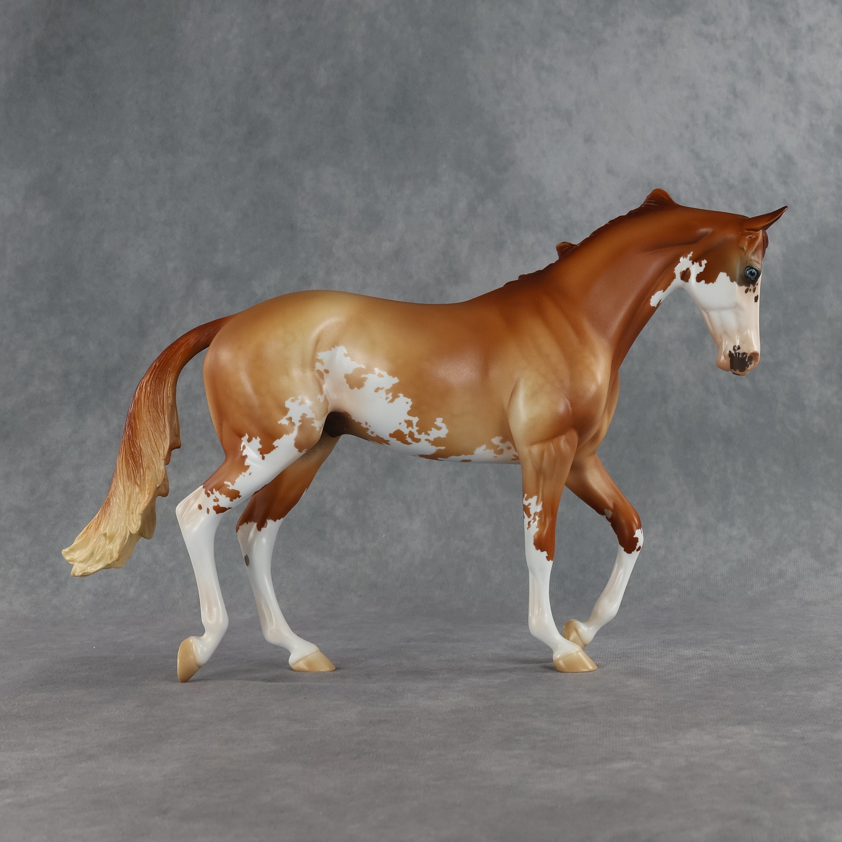 Jasper OOAK Thoroughbred by Jess Hamill SHCF26