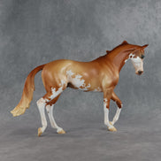 Jasper OOAK Thoroughbred by Jess Hamill SHCF26