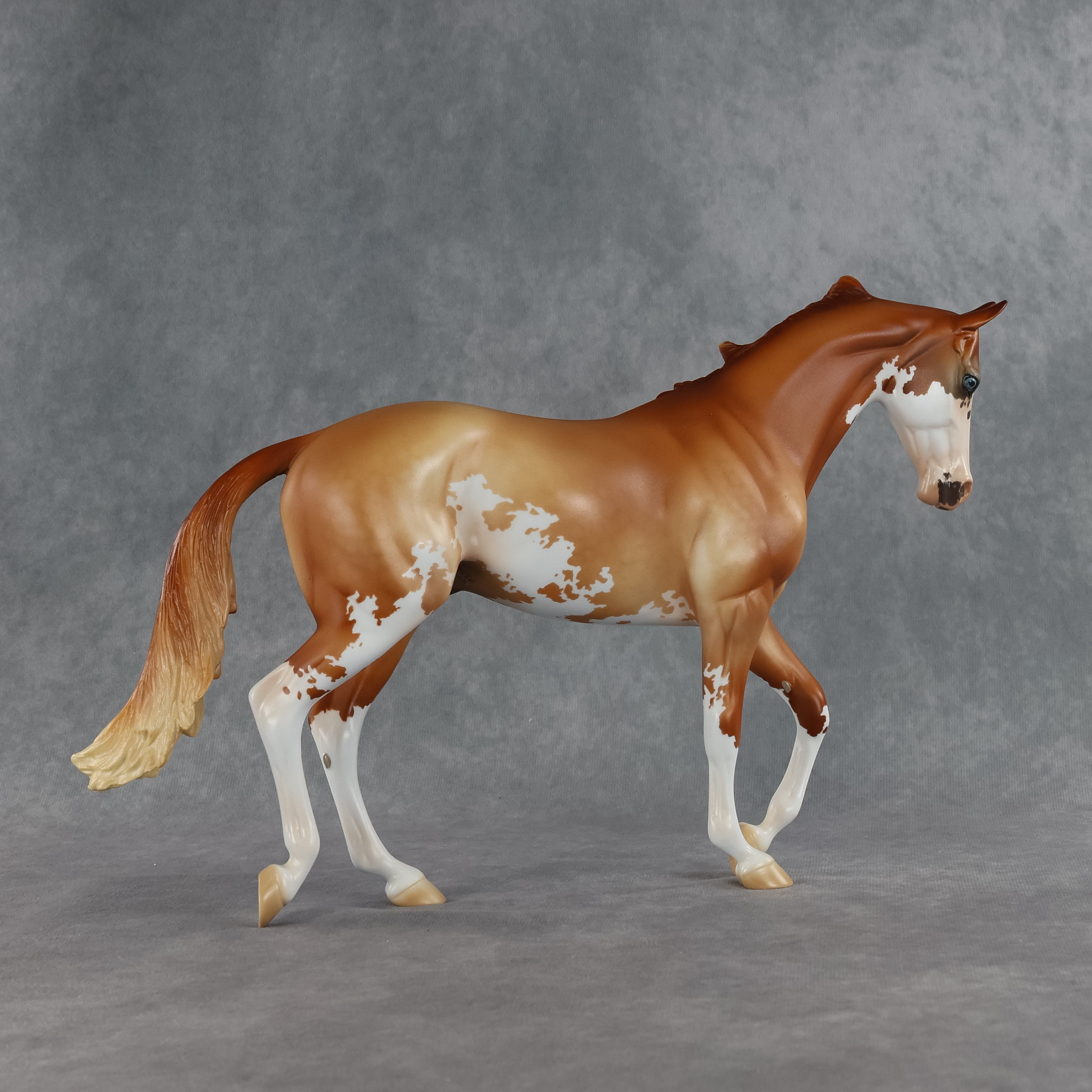 Jasper OOAK Thoroughbred by Jess Hamill SHCF26