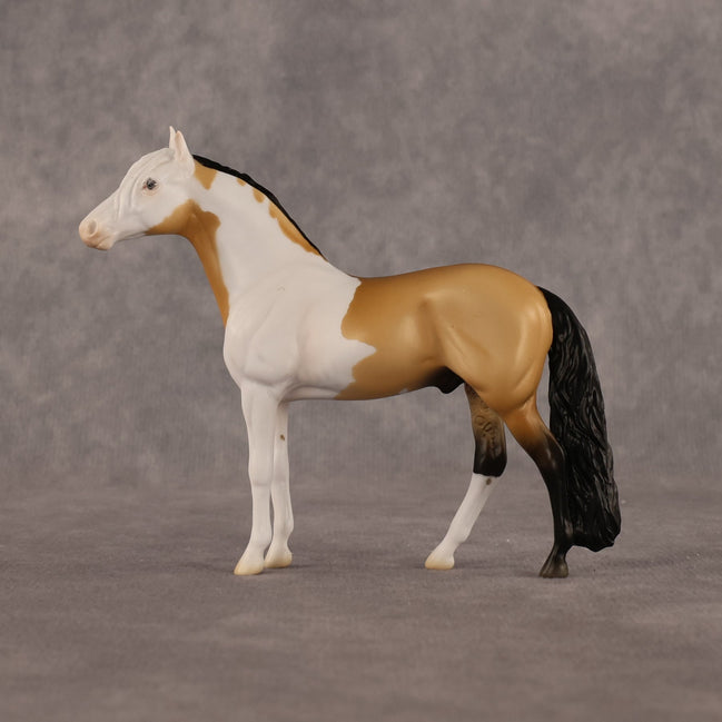 Javier OOAK Chip Andalusian by Madi Wiseman LHS26