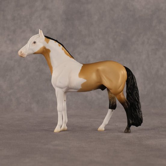 Javier OOAK Chip Andalusian by Madi Wiseman LHS26