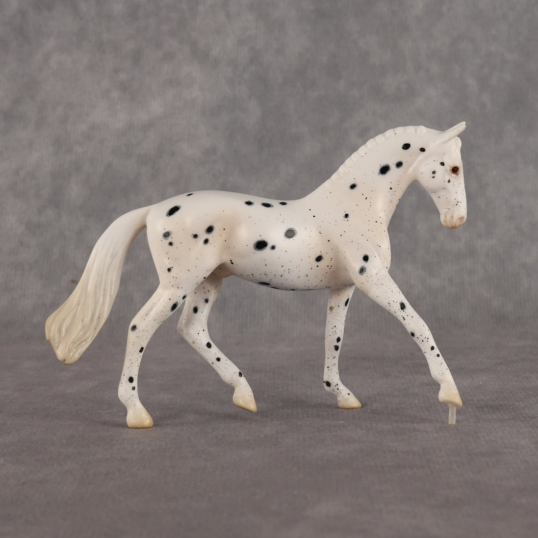 Jay Walker LE-5 EFCM Chip Warmblood by Madi Wiseman LHS26