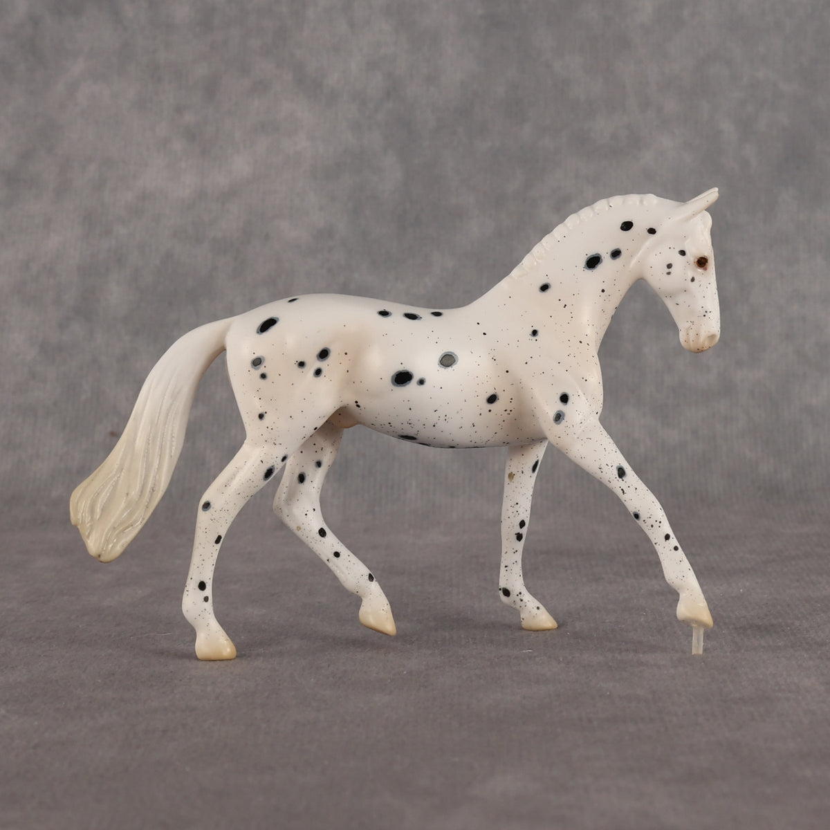 Jay Walker LE-5 EFCM Chip Warmblood by Madi Wiseman LHS26