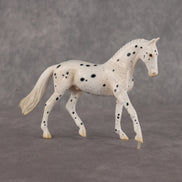 Jay Walker LE-5 EFCM Chip Warmblood by Madi Wiseman LHS26