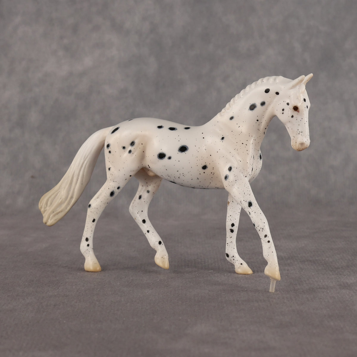 Jay Walker LE-5 EFCM Chip Warmblood by Madi Wiseman LHS26