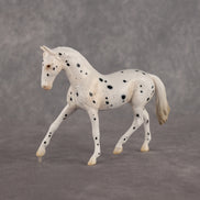 Jay Walker LE-5 EFCM Chip Warmblood by Madi Wiseman LHS26