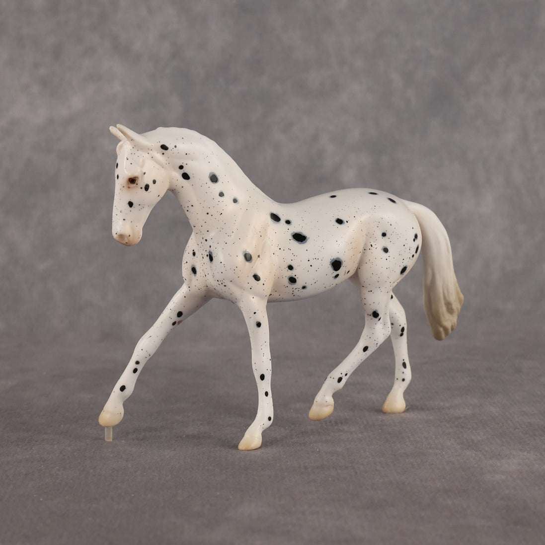 Jay Walker LE-5 EFCM Chip Warmblood by Madi Wiseman LHS26