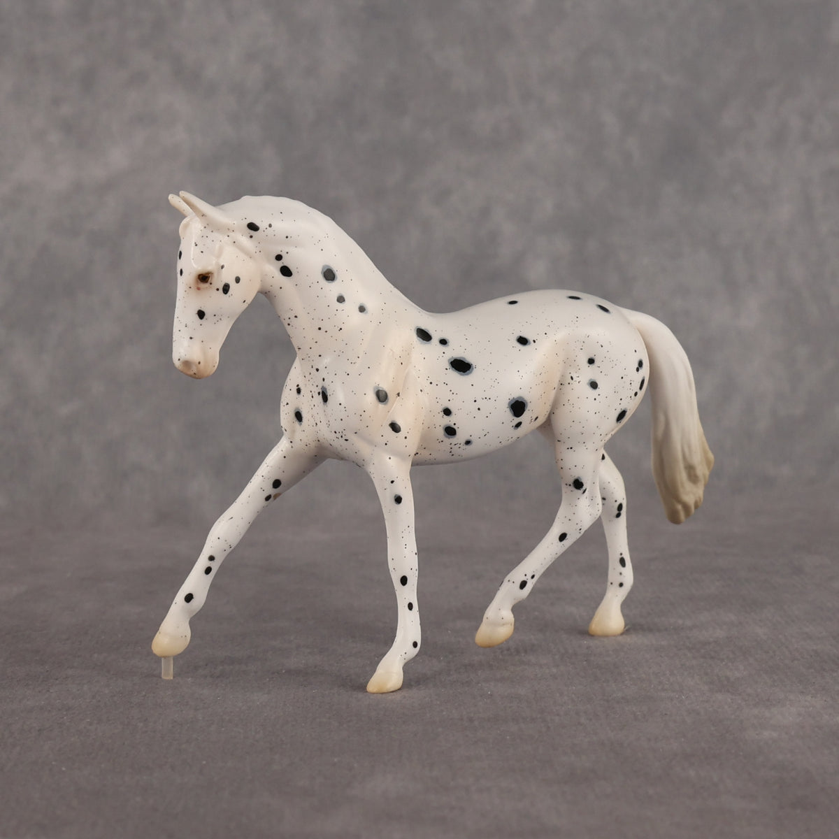 Jay Walker LE-5 EFCM Chip Warmblood by Madi Wiseman LHS26